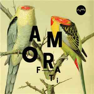 Tatvamasi - Amor Fati