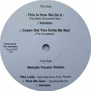 Various - Melodic Fanatic Riddim