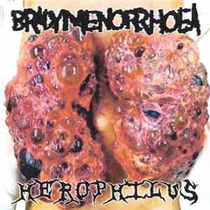Bradymenorrhoea / Herophilus - Bradymenorrhoea / Herophilus