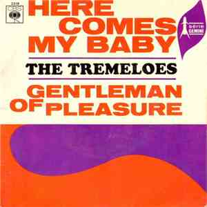 The Tremeloes - Here Comes My Baby