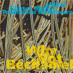 eRikm / Günter Müller / Toshimaru Nakamura - Why Not Béchamel
