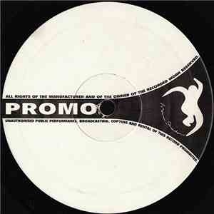 Flytronix - Shine A Rewind (DJ Harmony Remix) / Flystep