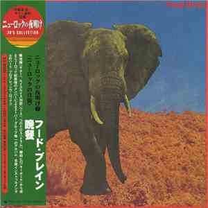 Food Brain - 晩餐