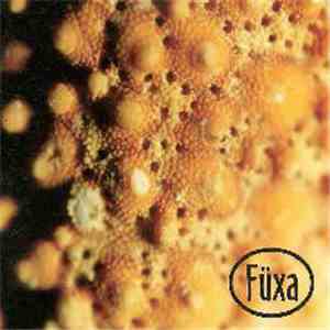 Füxa - Accretion