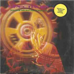 Spectrum  - True Love Will Find You In The End