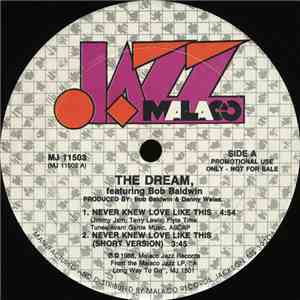 The Dream Featuring Bob Baldwin - Never Knew Love Like This