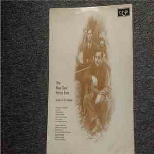 The New Deal String Band - Down In The Willow