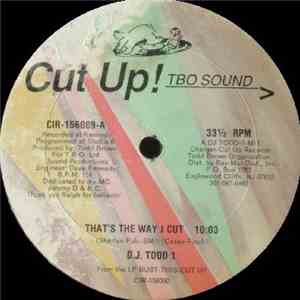 D.J. Todd 1 - That's The Way I Cut