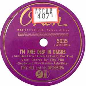 Tiny Hill And His Orchestra - I'm Knee Deep In Dasies (And Head Over Heels In Love) / Five Foot Two, Eyes Of Blue
