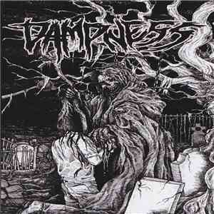 Dampness - Dampness
