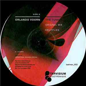 Orlando Voorn - The Tunnel