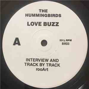 The Hummingbirds - Love Buzz - Interview And Track By Track