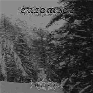 Ensomhet 19.84 - Hiems Gelida