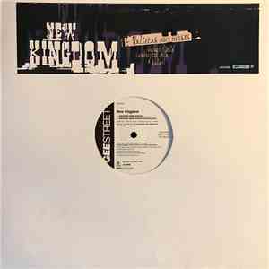 New Kingdom - Unicorns Were Horses