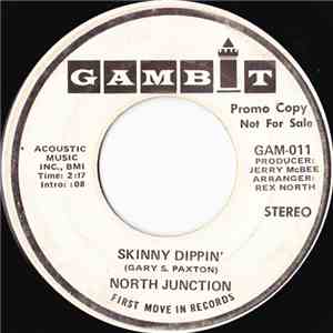 North Junction - Skinny Dippin'
