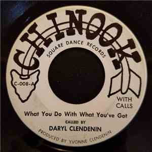 Daryl Clendenin, The Warriors - What You Do With What You've Got