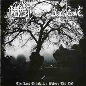 Nocturnal Amentia / Black Grave - The Last Exhalation Before The End