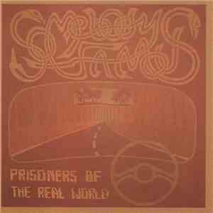 Somebody Famous - Prisoners Of The Real World