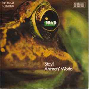 Toad - Stay ! / Animals' World