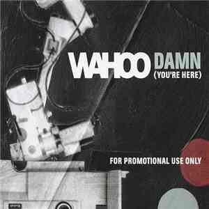 Wahoo - Damn (You're Here)