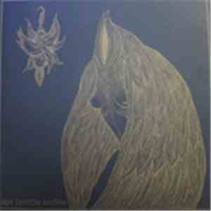 apt j(ext)ie irrchie - Night Wearing Feathers / Sunshine Bus Rider