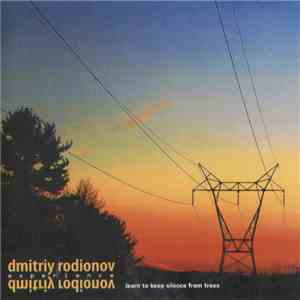 Dmitriy Rodionov Experience - Learn To Keep Silence From Trees