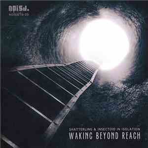 Shatterling & Insectoid In Isolation - Waking Beyond Reach