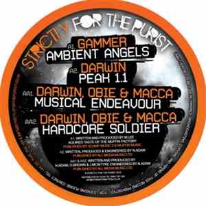 Gammer / Darwin / Obie / Macca  - Ambient Angels / Peak 1.1 / Musical Endeavour / Hardcore Soldier