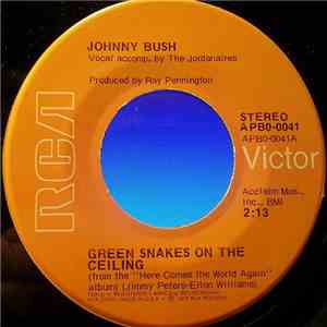 Johnny Bush - Green Snakes On The Ceiling / Drinkin' My Baby Right Out Of My mind
