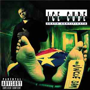 Ice Cube - Death Certificate
