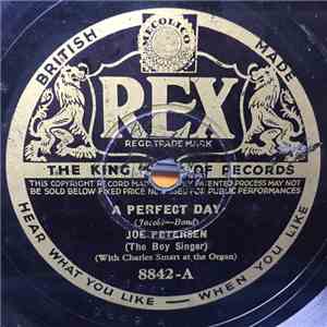 Joe Petersen - A Perfect Day/Little Grey Home In The West