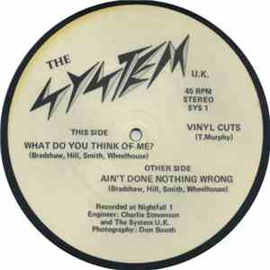 The System U.K. - What Do You Think Of Me? / Ain't Done Nothing Wrong