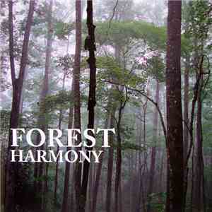 Unknown Artist - Forest Harmony