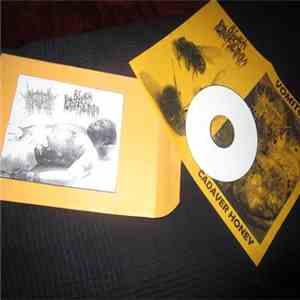 Vomitoma, Black Putrefaction - Cadaver Honey / Untitled