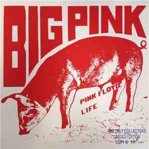 Pink Floyd - Big Pink