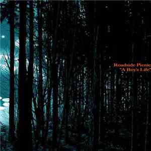 Roadside Picnic  - A Boy's Life