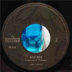 The Gants - Road Runner