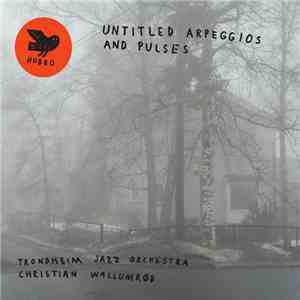 Trondheim Jazz Orchestra / Christian Wallumrød - Untitled Arpeggios And Pul ...