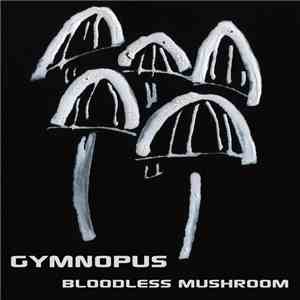 Bloodless Mushroom - Gymnopus