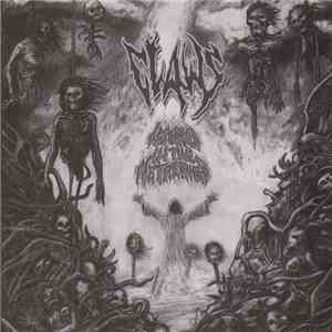 Claws - Absorbed In The Nethervoid