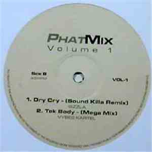 Various - PhatMix Volume 1