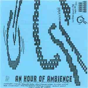 Sam Rosenthal - An Hour Of Ambience