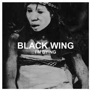 Black Wing - Black Wing