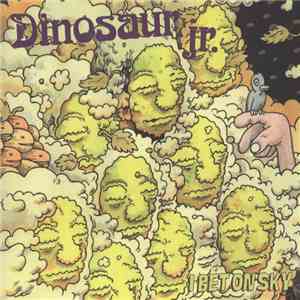 Dinosaur Jr. - I Bet On Sky
