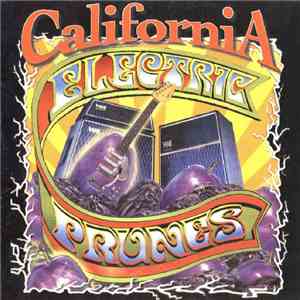 The Electric Prunes - California