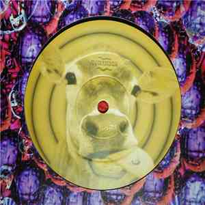 Slapper - The Cowboy Song