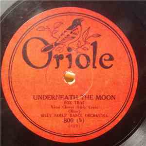 The Yankee Ten Orchestra / Billy James' Dance Orchestra - Blue Skies / Unde ...