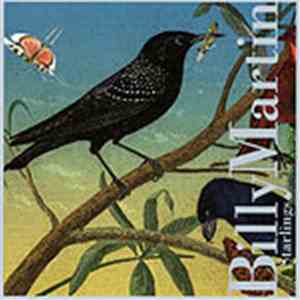 Billy Martin - Starlings