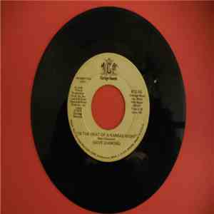 Dave Diamond - In The Heat Of A Kansas Night