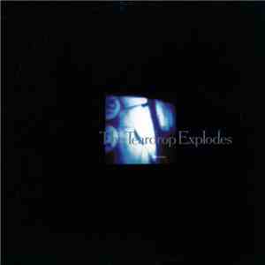 The Teardrop Explodes - Colours Fly Away